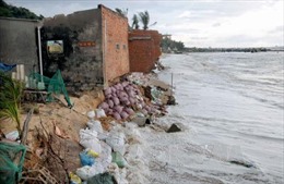 Bình Thuận tìm giải pháp khắc phục tình trạng sạt lở ven biển